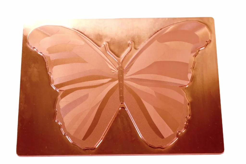 Butterfly_04